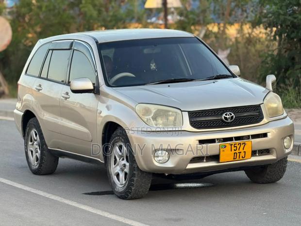 Toyota RAV4 2005 Gold
