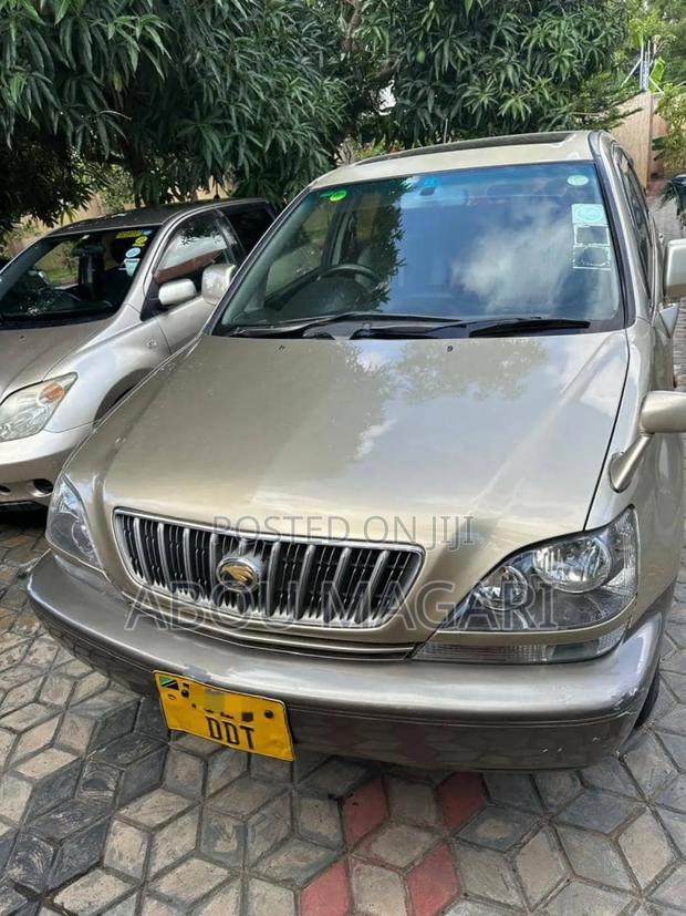 Toyota Harrier 2006 Gold