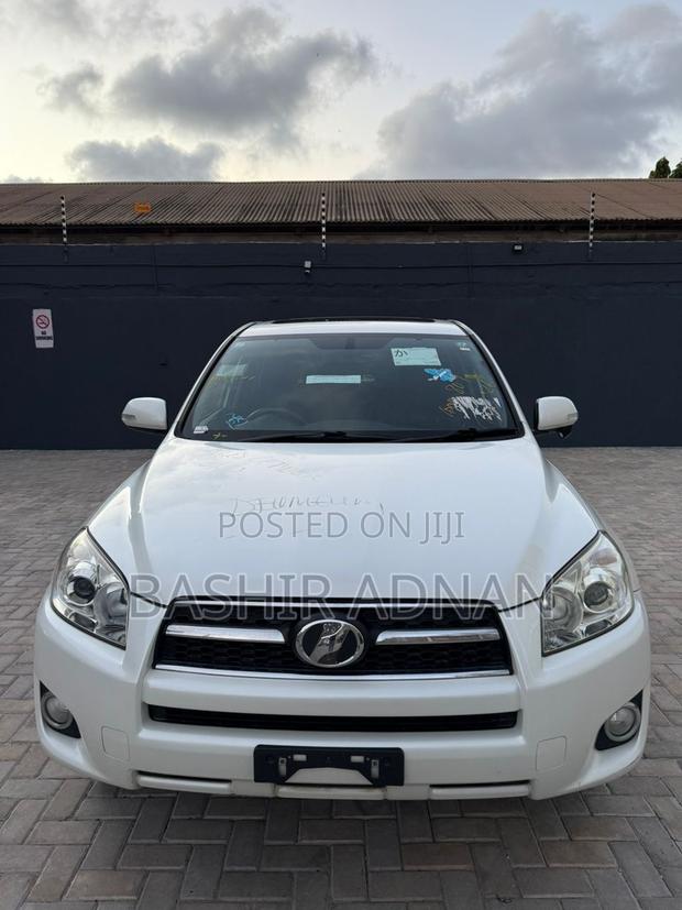 Toyota RAV4 2009 Pearl