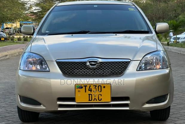 Toyota Corolla RunX 2004 Gold