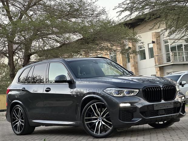 BMW X5 2022 Gray
