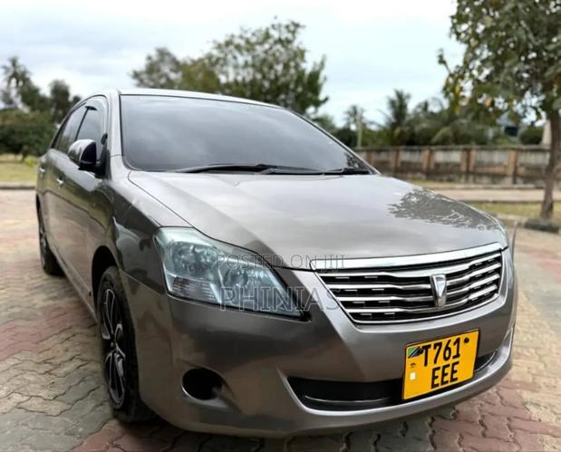 Toyota Premio 2009 Gray
