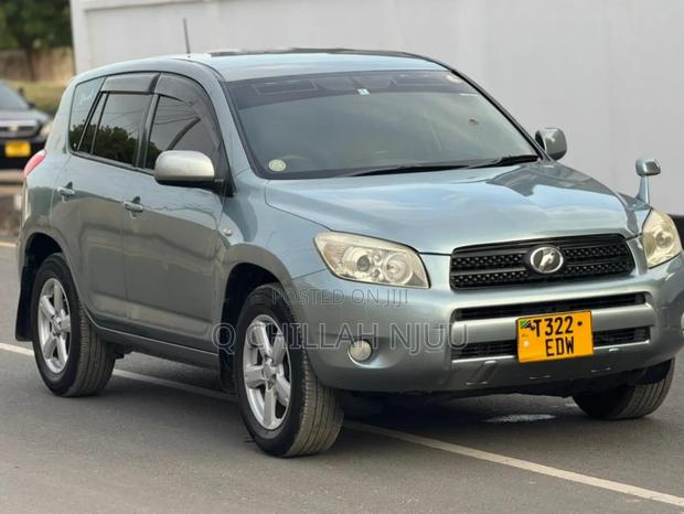 Toyota RAV4 2006 Gray