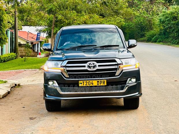 Toyota Land Cruiser 2005 Gray
