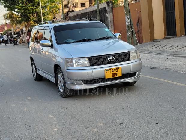 Toyota Probox 2009 Silver