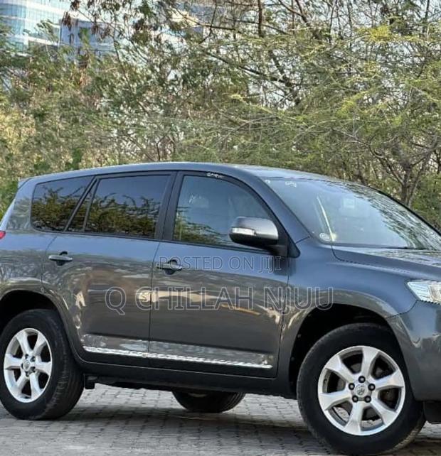 Toyota Vanguard 2010 Gray