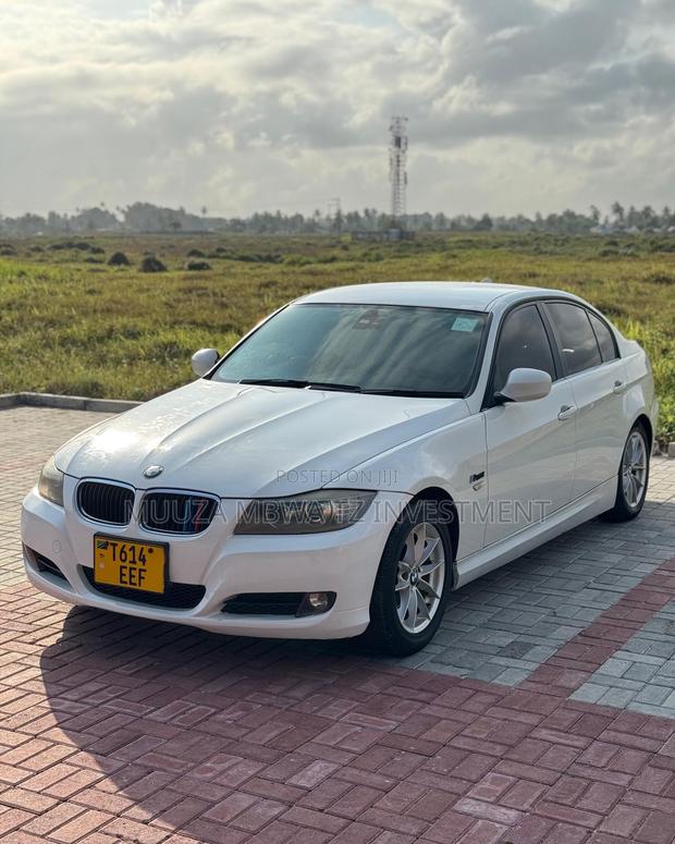 BMW 3 Series 2010 White