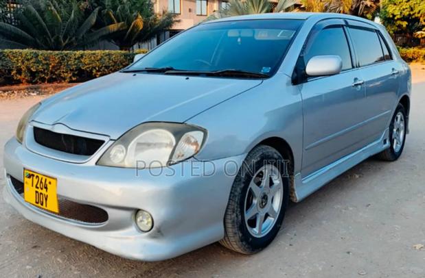 Toyota Allex 2001 Silver