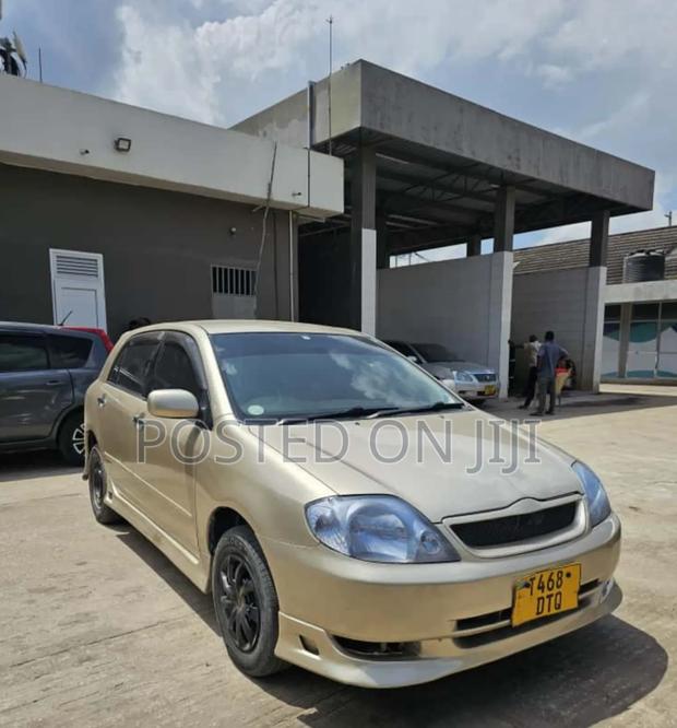Toyota Allex 2003 Gold