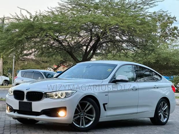 BMW 320i Sedan RWD 2014 Burgundy