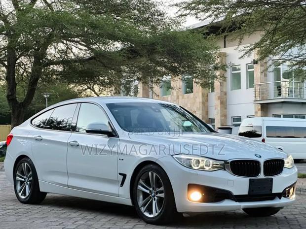 BMW 320i Sedan RWD 2014 Burgundy