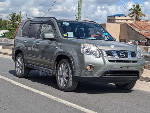 Nissan X-Trail 2.0 Petrol XE 2011 Gray