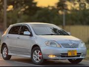 Toyota Allex 2005 Silver for sale