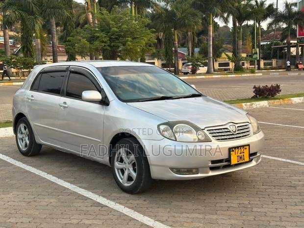 Toyota Allex 2004 Silver