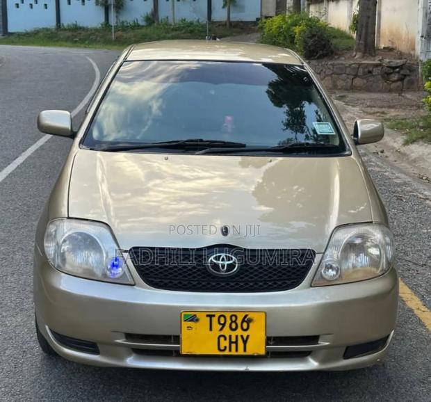Toyota Corolla RunX 2004 Gold