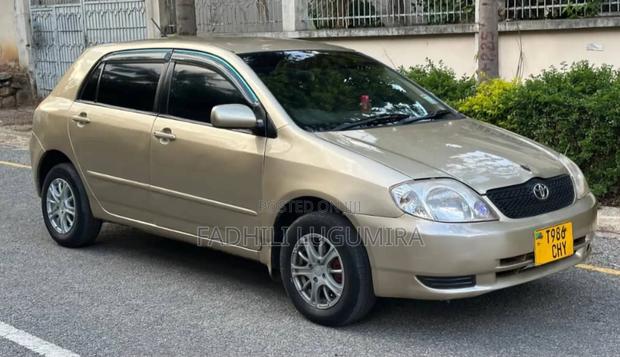 Toyota Corolla RunX 2004 Gold