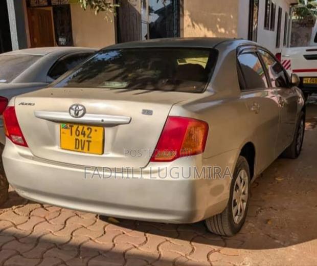 Toyota Axio 2006 Gold