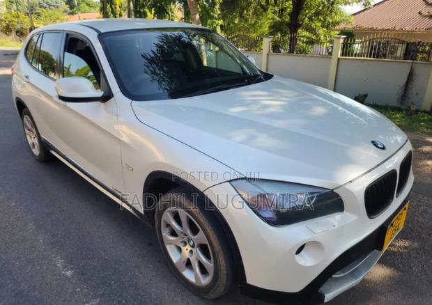 BMW X1 2009 White