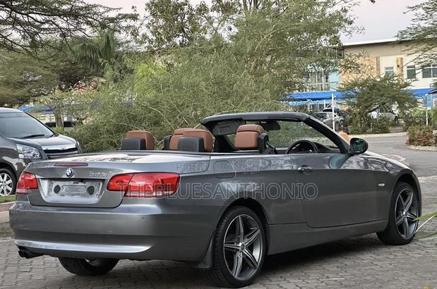 BMW 3 Series 2010 Gray