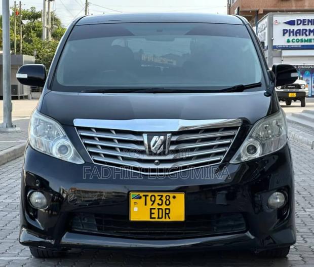 Toyota Alphard 2008 Gray