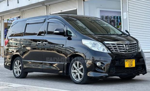 Toyota Alphard 2008 Gray