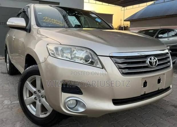 Toyota Vanguard 2009 Beige