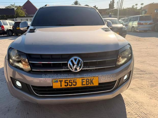 Volkswagen Amarok 2011 Gray