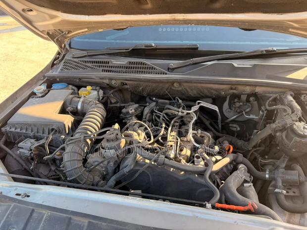 Volkswagen Amarok 2011 Gray