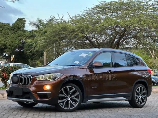 BMW X1 2015 Brown