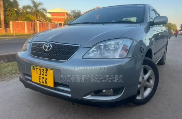 Toyota Corolla RunX 2003 Gray