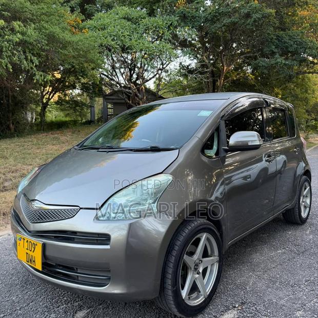 Toyota Ractis 2006 Gray