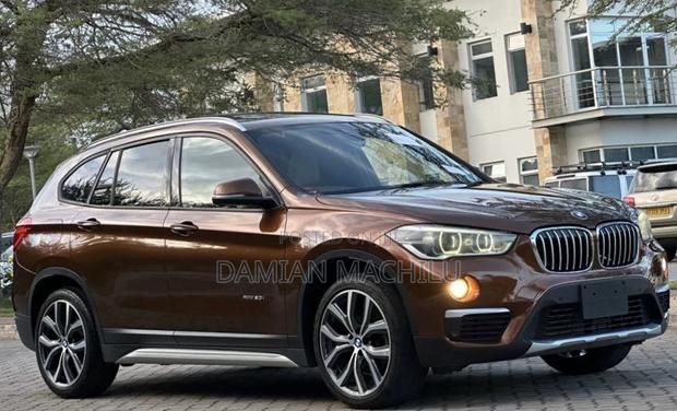 BMW X1 2015 Burgundy