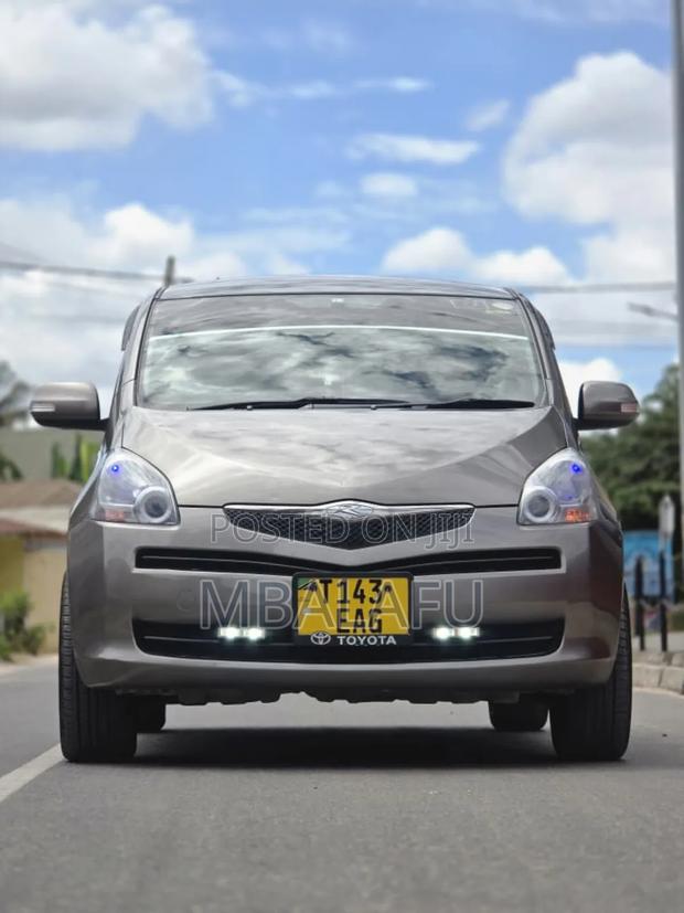 Toyota Ractis 2009 Gray