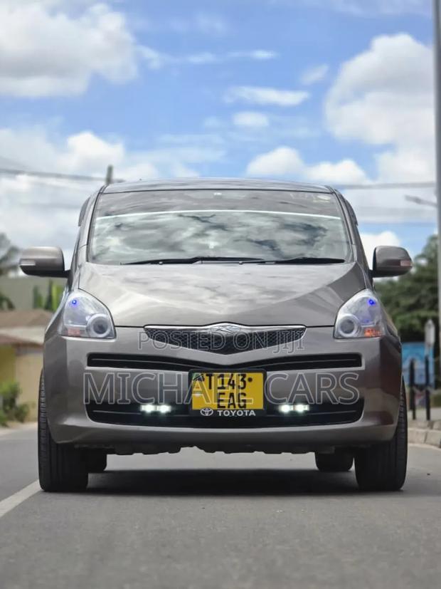 Toyota Ractis 2009 Gray