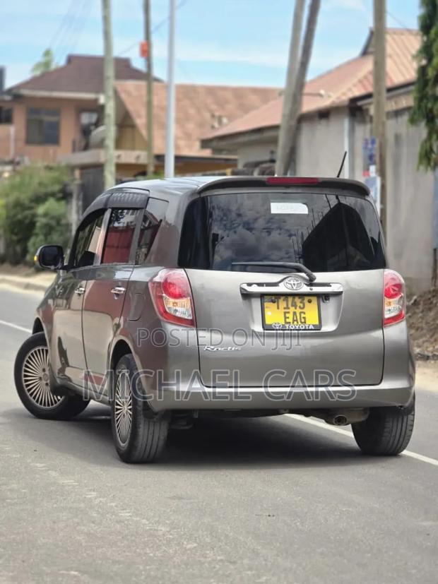 Toyota Ractis 2009 Gray