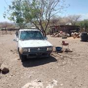 Nissan Pick-Up 2000 White for sale