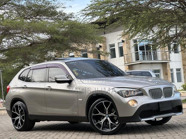 BMW X1 2012 Gold