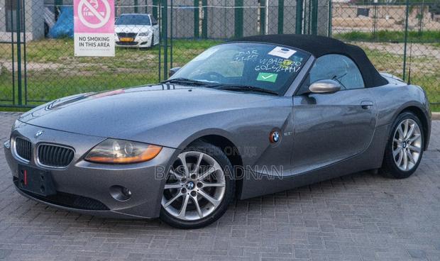 BMW Z4 2.0i Exclusive Roadster 2007 Gray