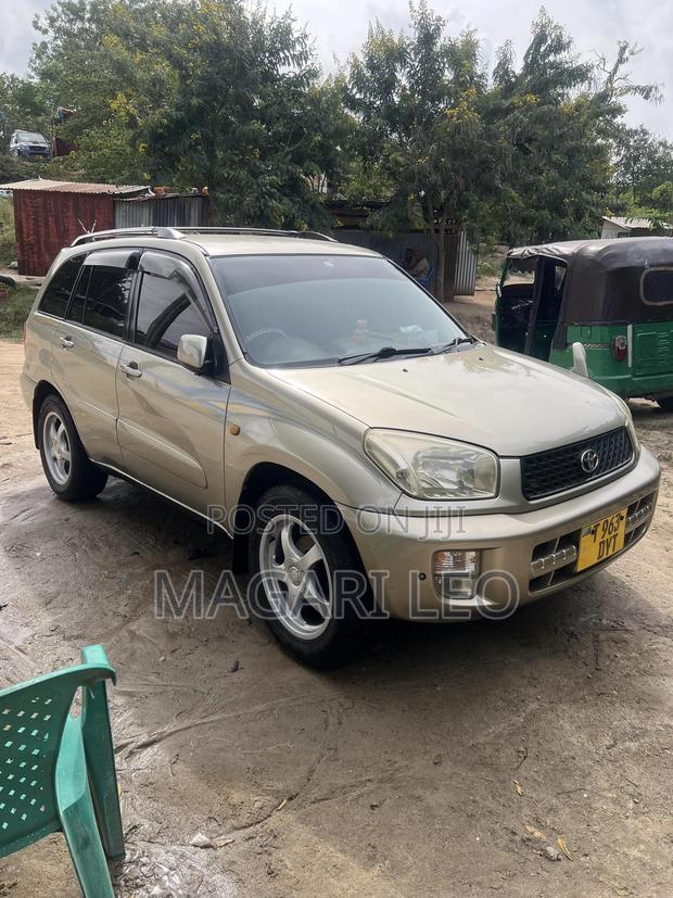 Toyota RAV4 2005 Gold