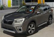 Subaru Forester Limited AWD 2020 Gray for sale