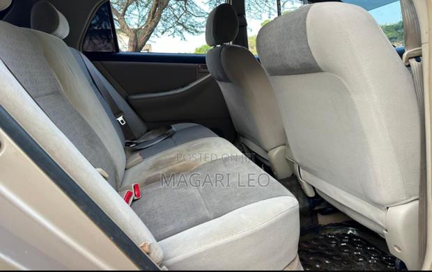Toyota Corolla RunX 2004 Gold