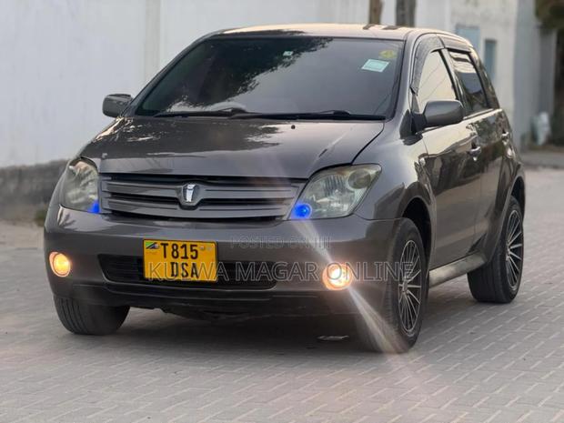 Toyota IST 2005 Gray