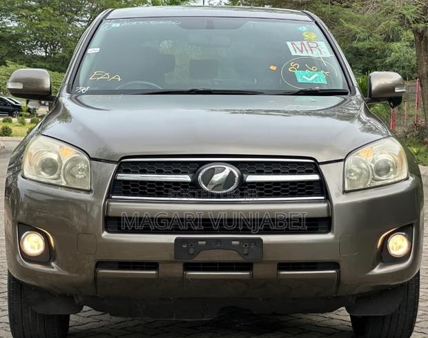 Toyota RAV4 2009 Gray