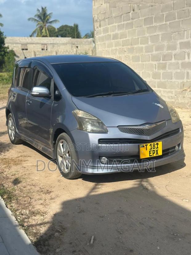 Toyota Ractis 1.5 AWD 2006 Gray