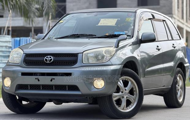 Toyota RAV4 2005 Gray