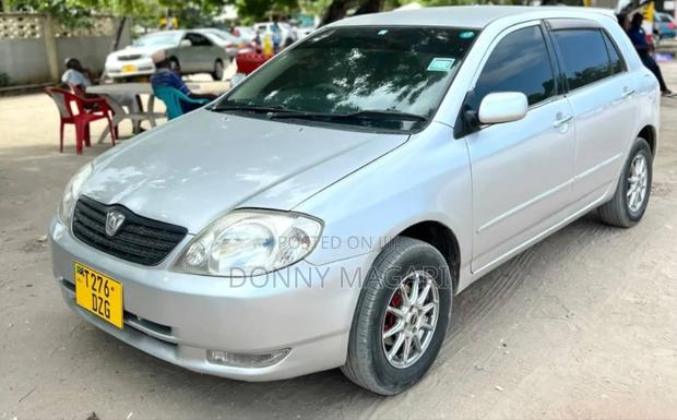 Toyota Allex 2005 Silver