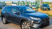Toyota RAV4 2020 Gray for sale