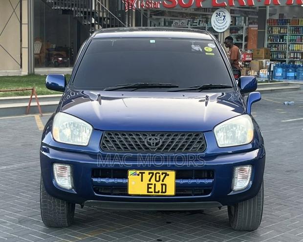 Toyota RAV4 2004 Blue