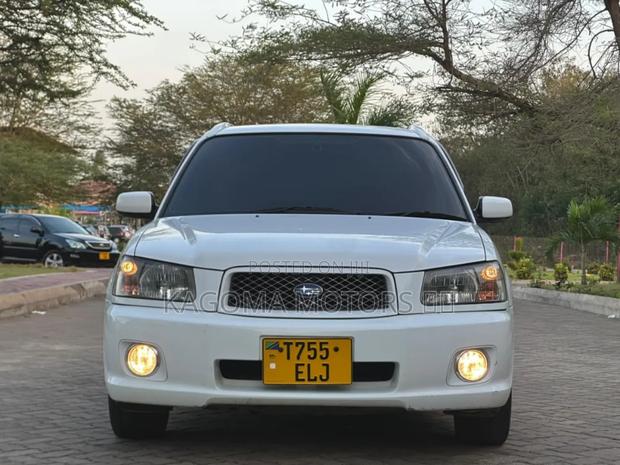 Subaru Forester 2004 White
