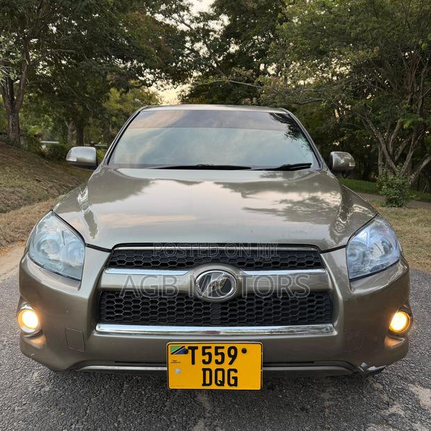 Toyota RAV4 2010 Gray